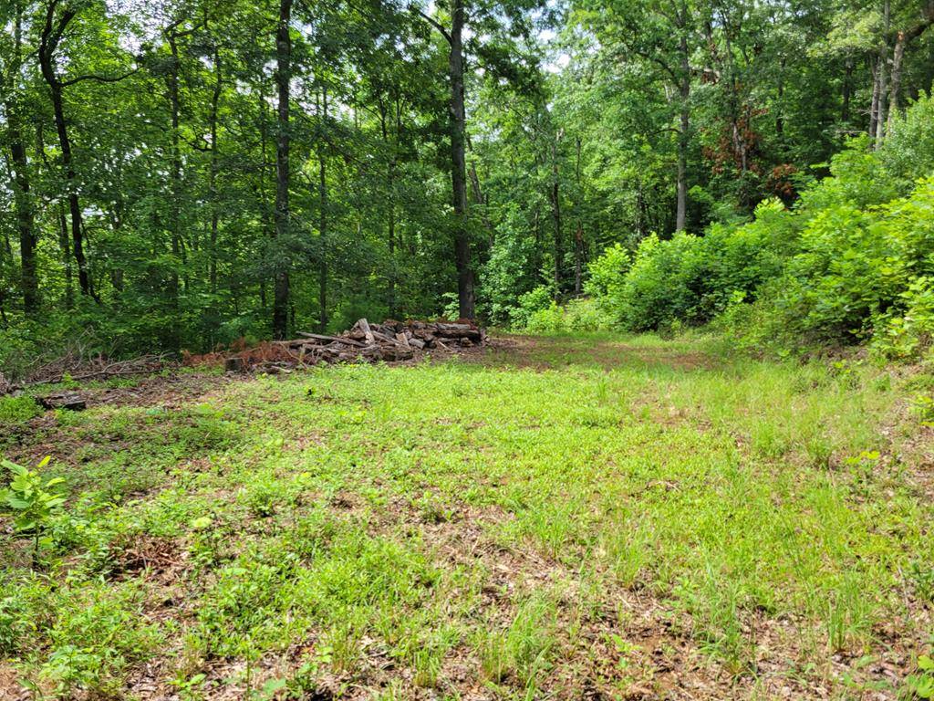 Hiawassee, GA 30546,Lot 4 Rainbow Ridge