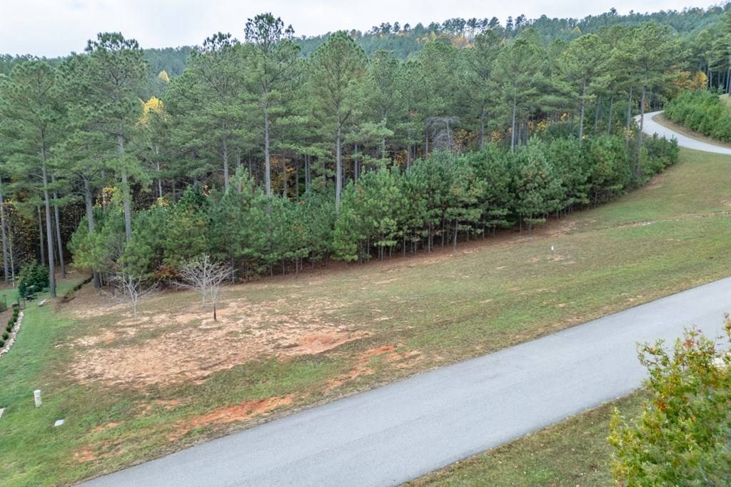 Blairsville, GA 30512,Lot 120 The Stables In 1300