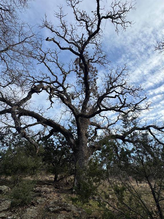 Gordon, TX 76453,H28R Stagecoach Trail