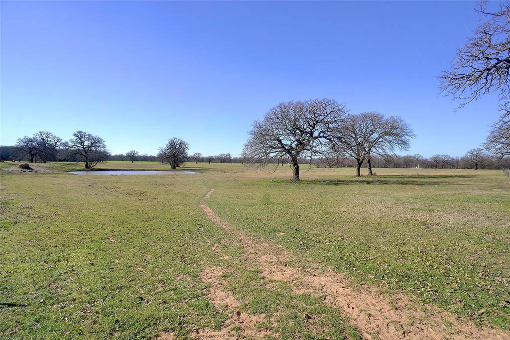 Bridgeport, TX 76426,TBD CR 3214