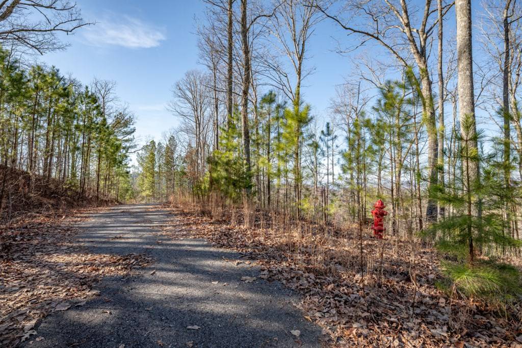 Blairsville, GA 30512,Lot 89 Thirteen Hundred