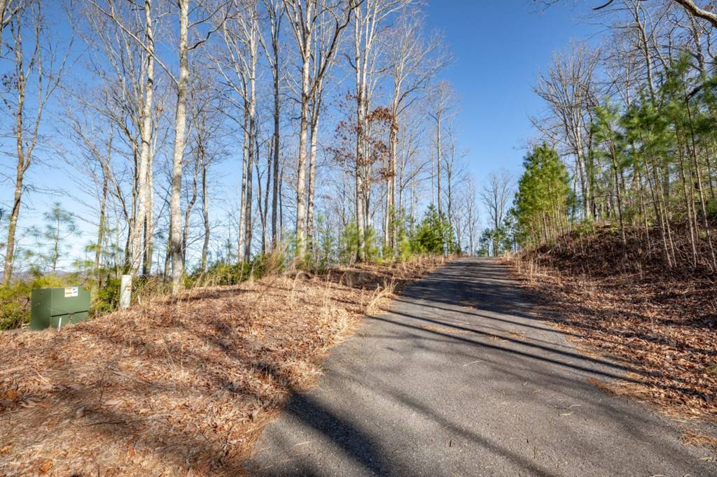 Blairsville, GA 30512,Lot 89 Thirteen Hundred