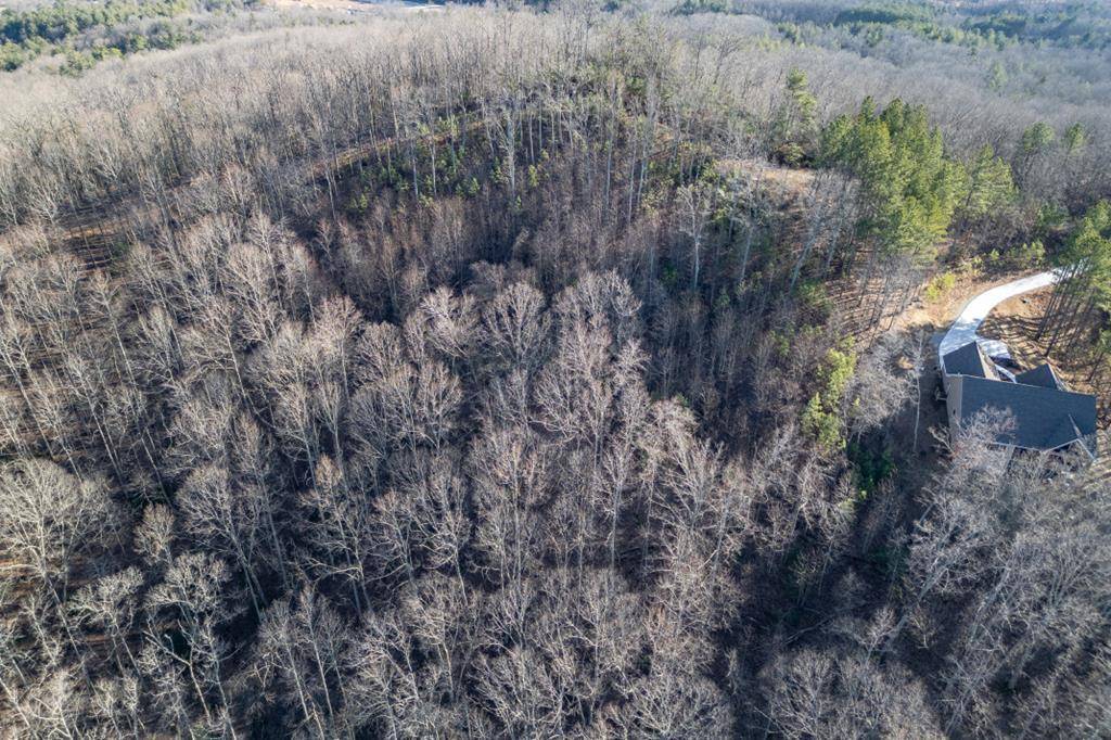 Blairsville, GA 30512,Lot 89 Thirteen Hundred