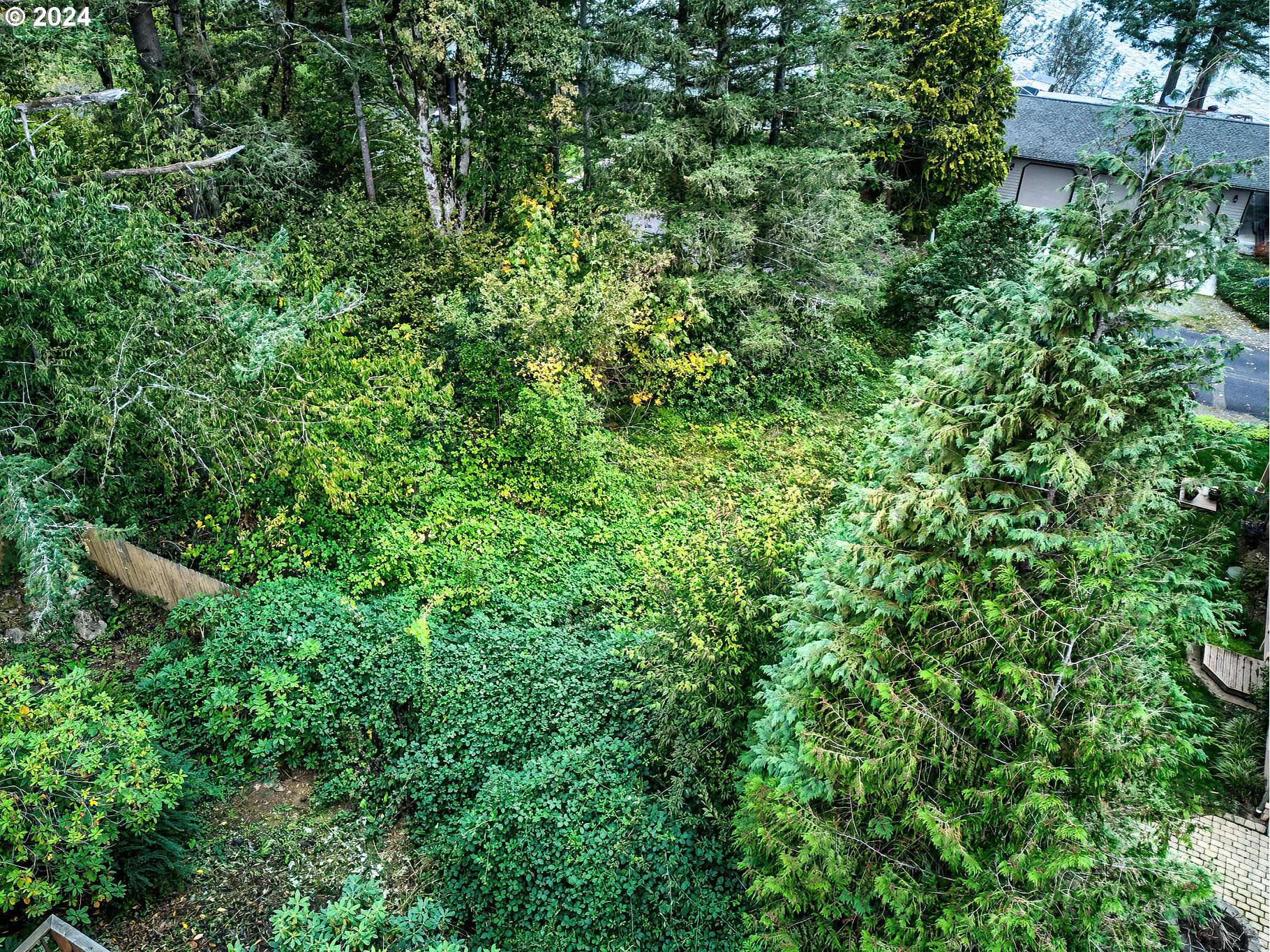 Skamania, WA 98648,24 LAKE SHORE DR