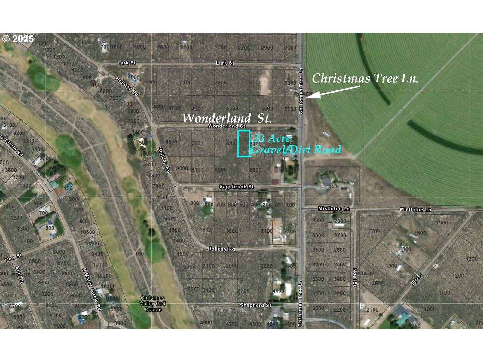 Christmas Valley, OR 97641,Wonderland ST #6200