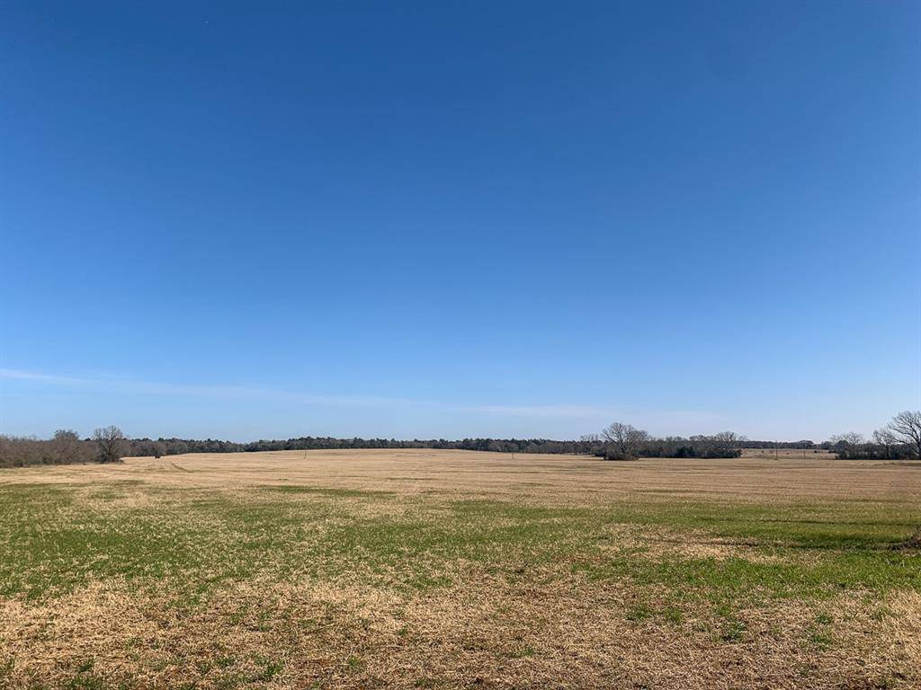 Caldwell, TX 77836,0 county road 328