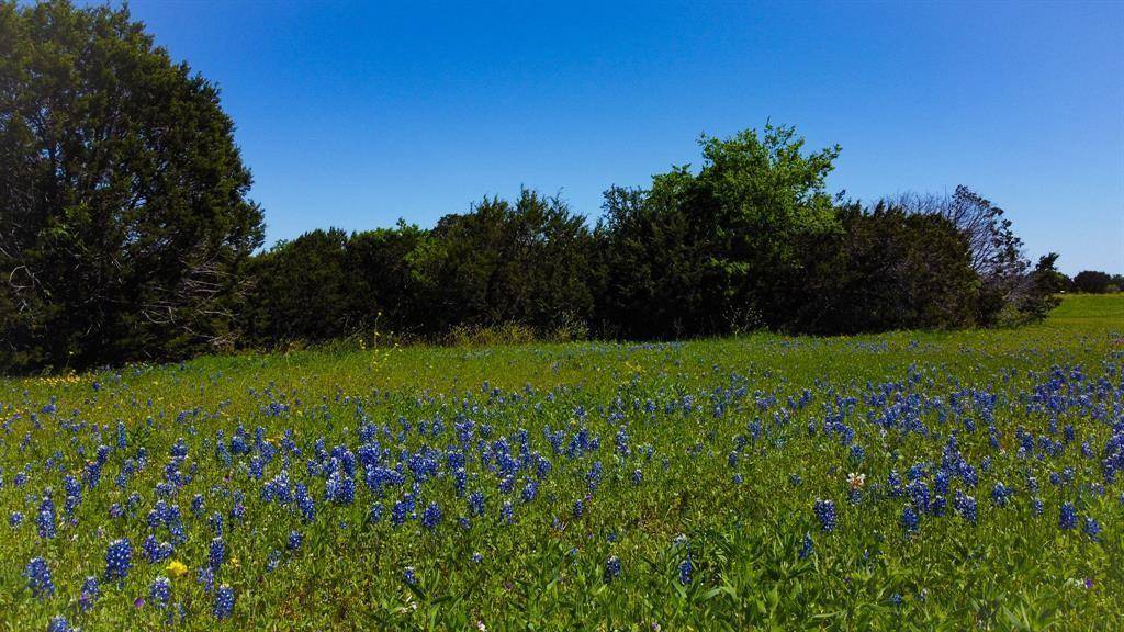 Cleburne, TX 76033,Lot 37 Royal Winchester Drive