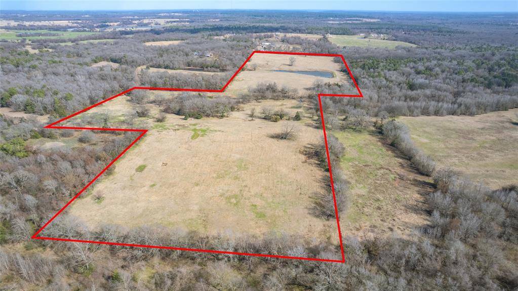 Winnsboro, TX 75494,56 ac CR 2376 County Road 2376 #1