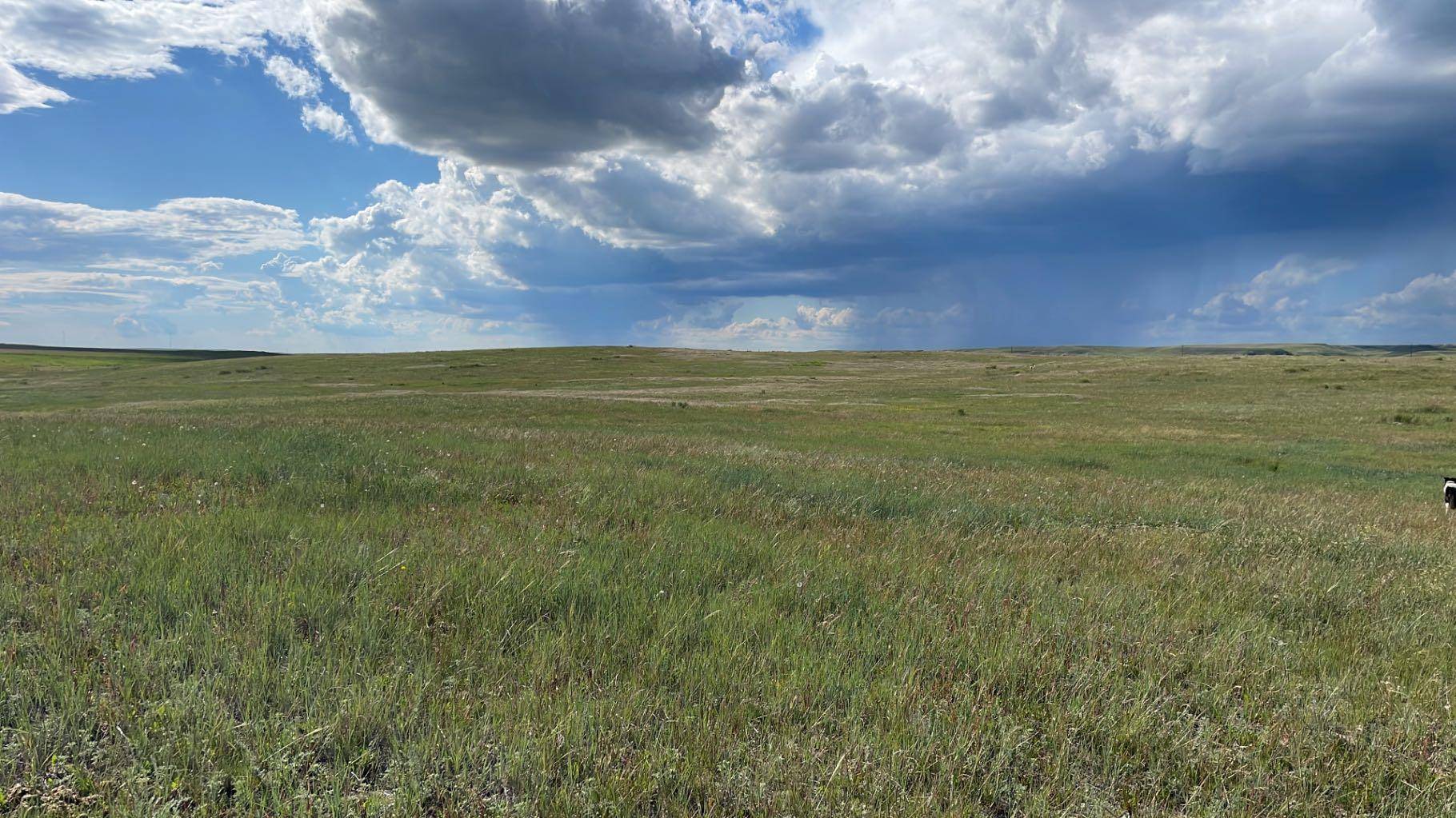 Rural Cypress County, AB T0J 1V0,SW-34 11-2-4 Highway 1