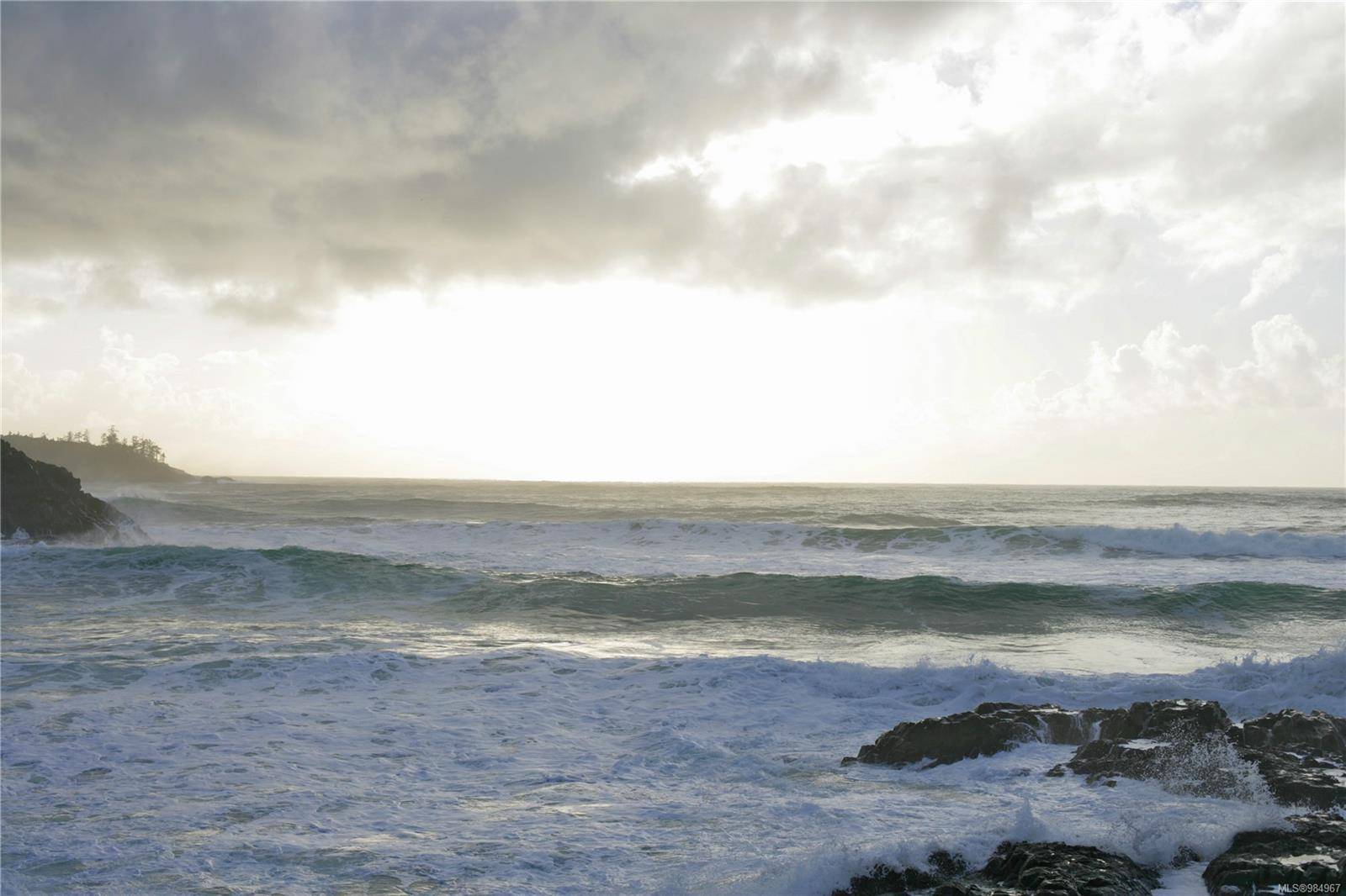 Tofino, BC V0R 2Z0,871 Moser Pl