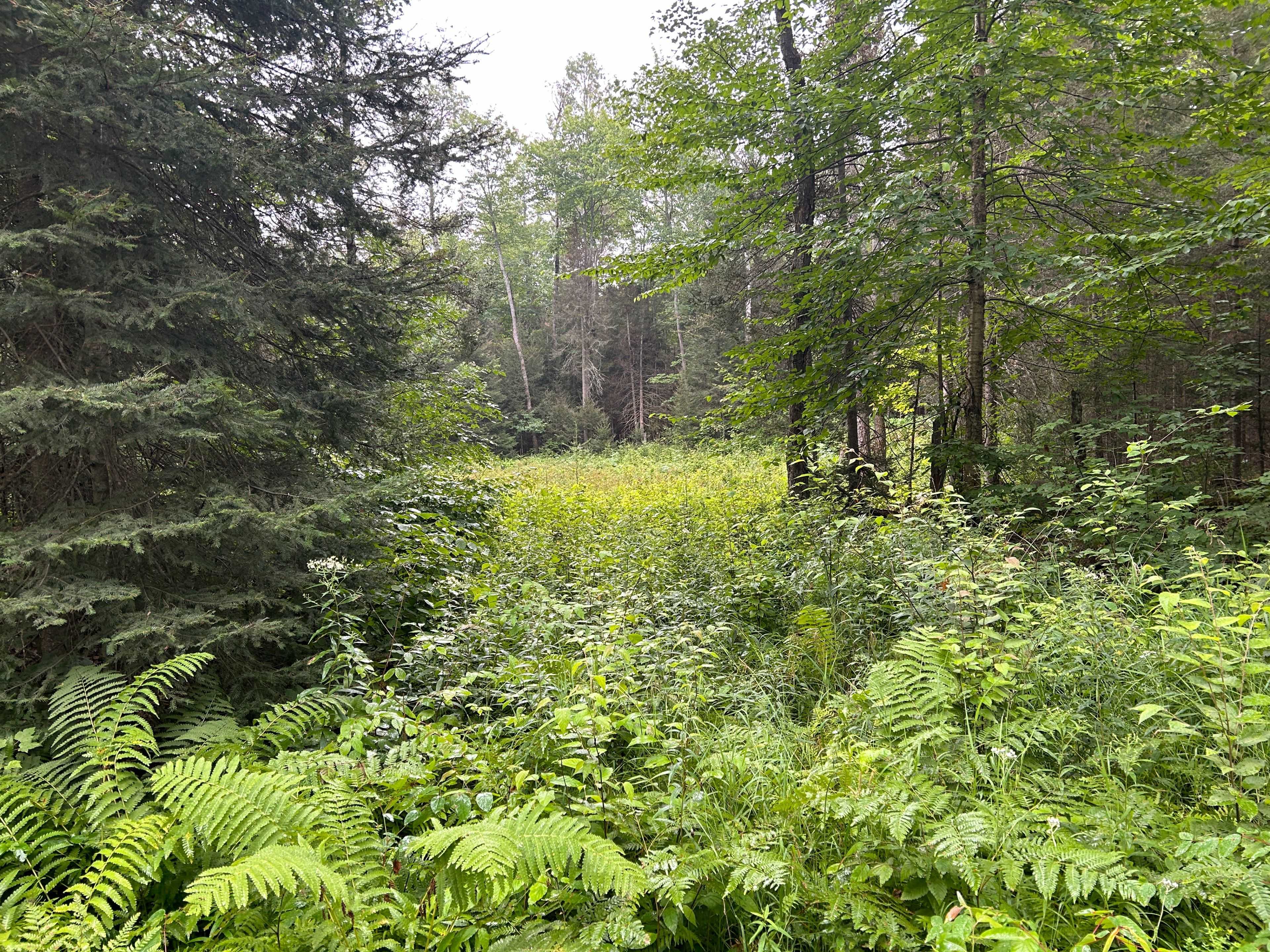Machar, ON P0A 1X0,0 Bray Lake RD