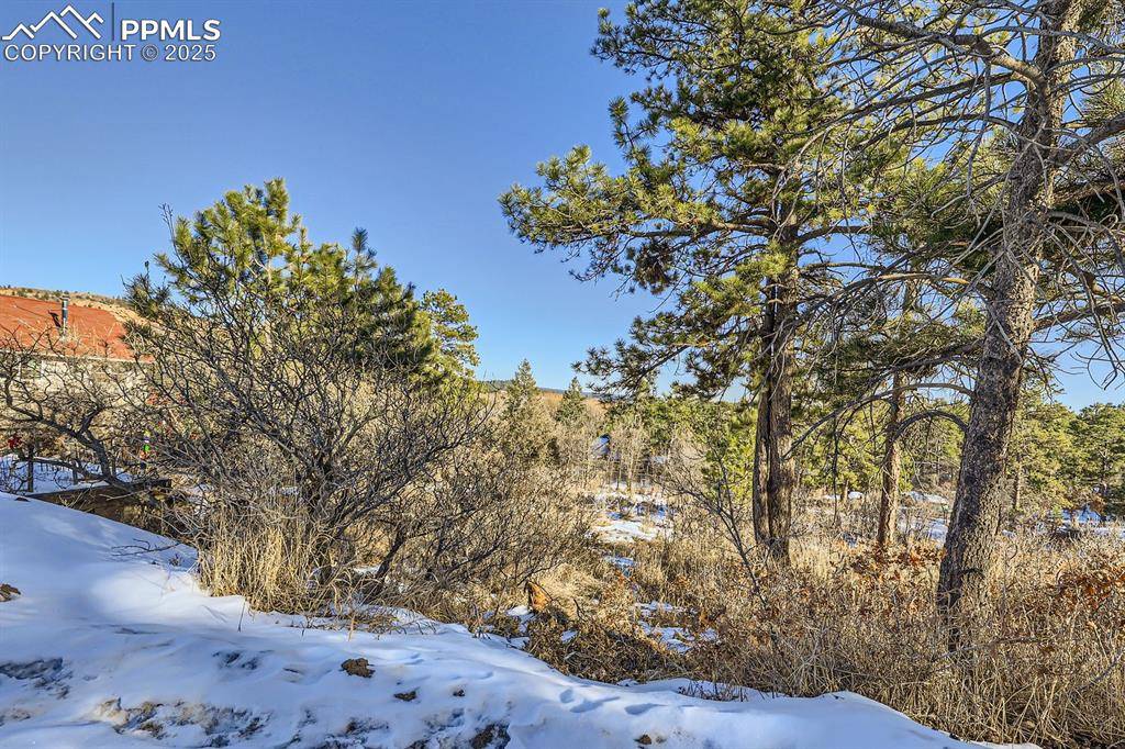 Palmer Lake, CO 80133,Buena Vista AVE