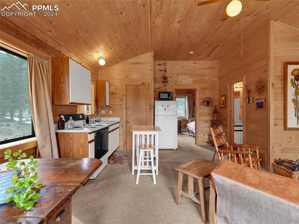 Lake George, CO 80827,1462 Pulver RD