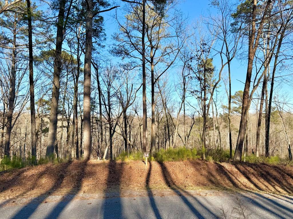 Ellijay, GA 30540,Lot 34 Hilton Drive