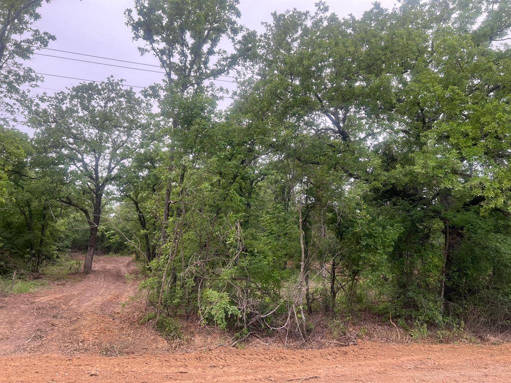 Mineral Wells, TX 76067,tbd 00 HAMILTON