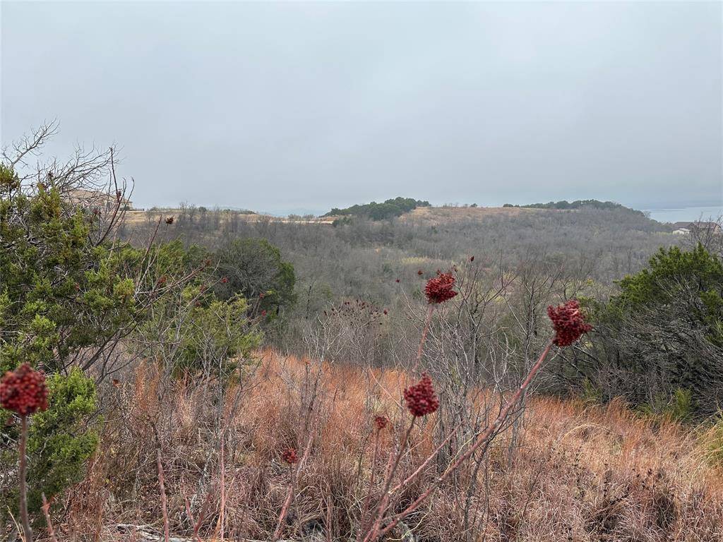 Graford, TX 76449,1055 Honeysuckle Court