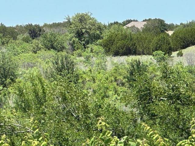 Graford, TX 76449,Lot 623 Caprock Court