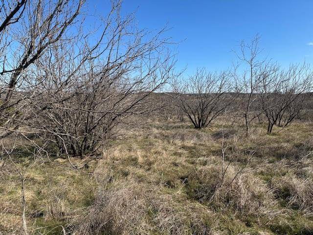 Graford, TX 76449,1050 Spotted Owl Court