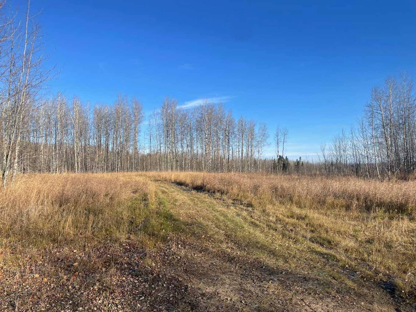 Rural Woodlands County, AB T7S 1A1,Township Road 584 Township