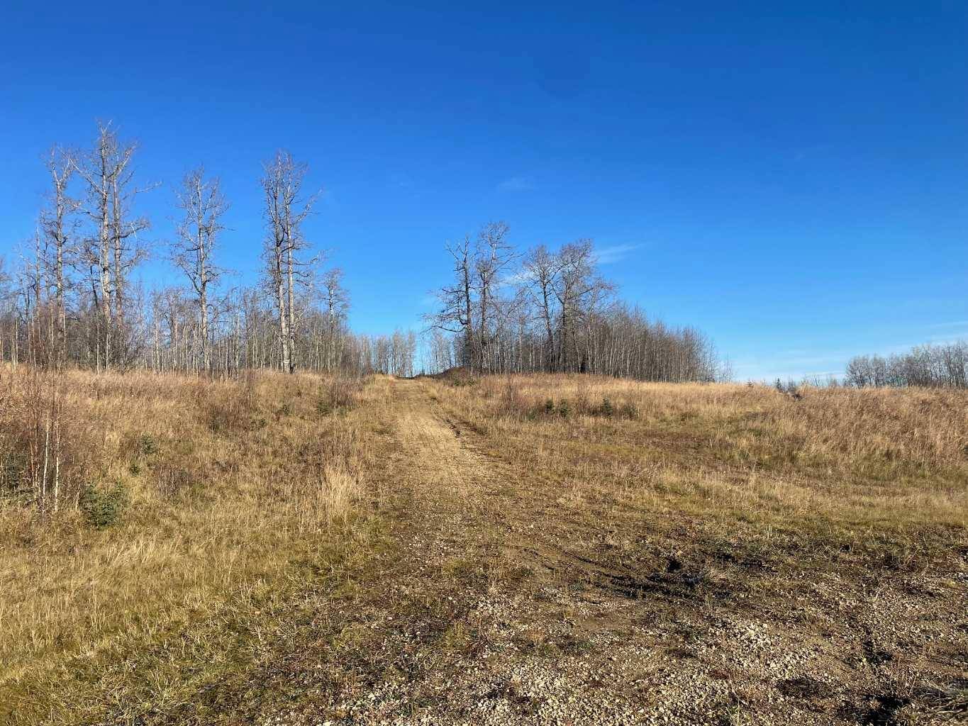 Rural Woodlands County, AB T7S 1A1,Township Road 584 Township