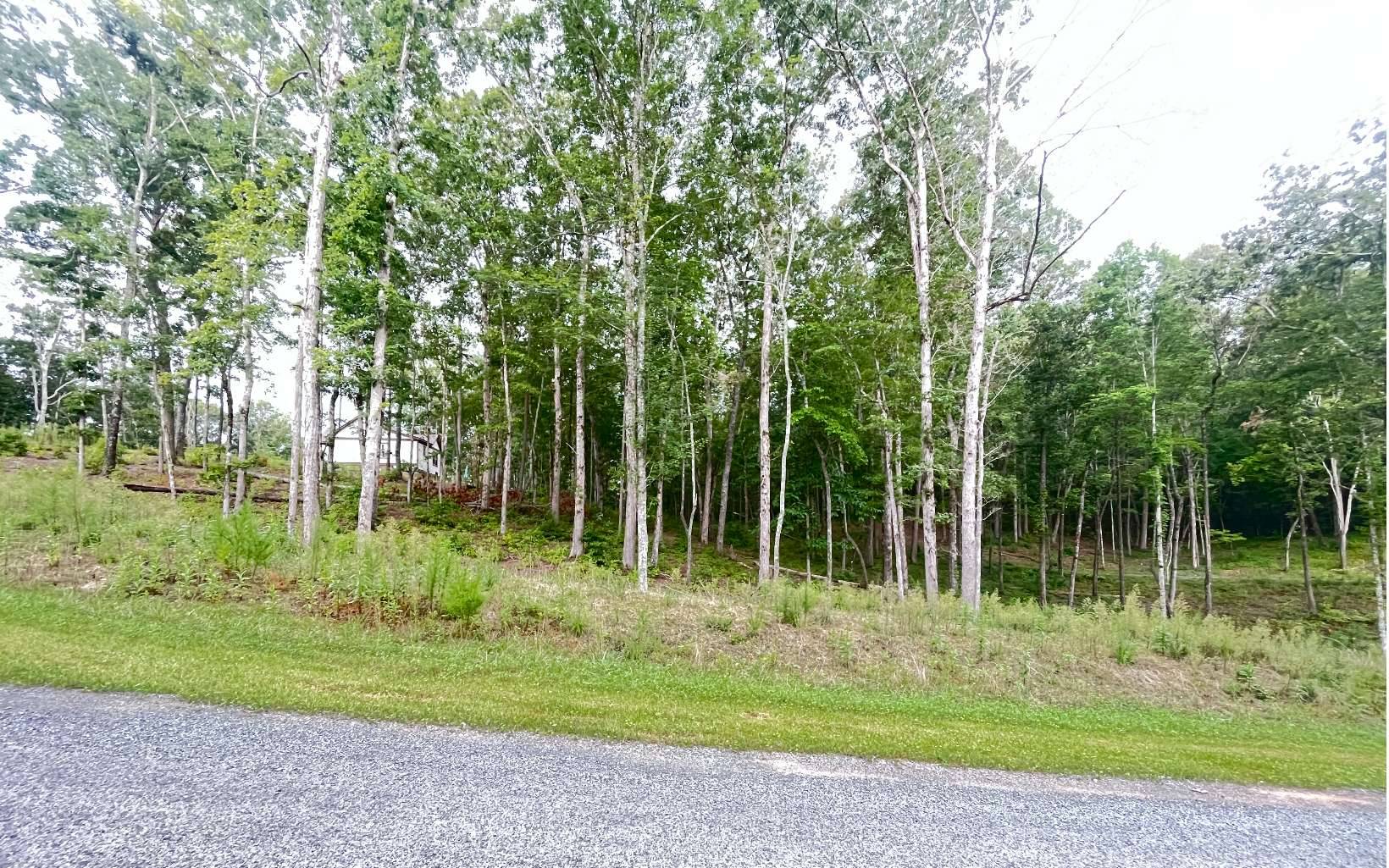 Ellijay, GA 30540,LT 11 Lake Top Lane