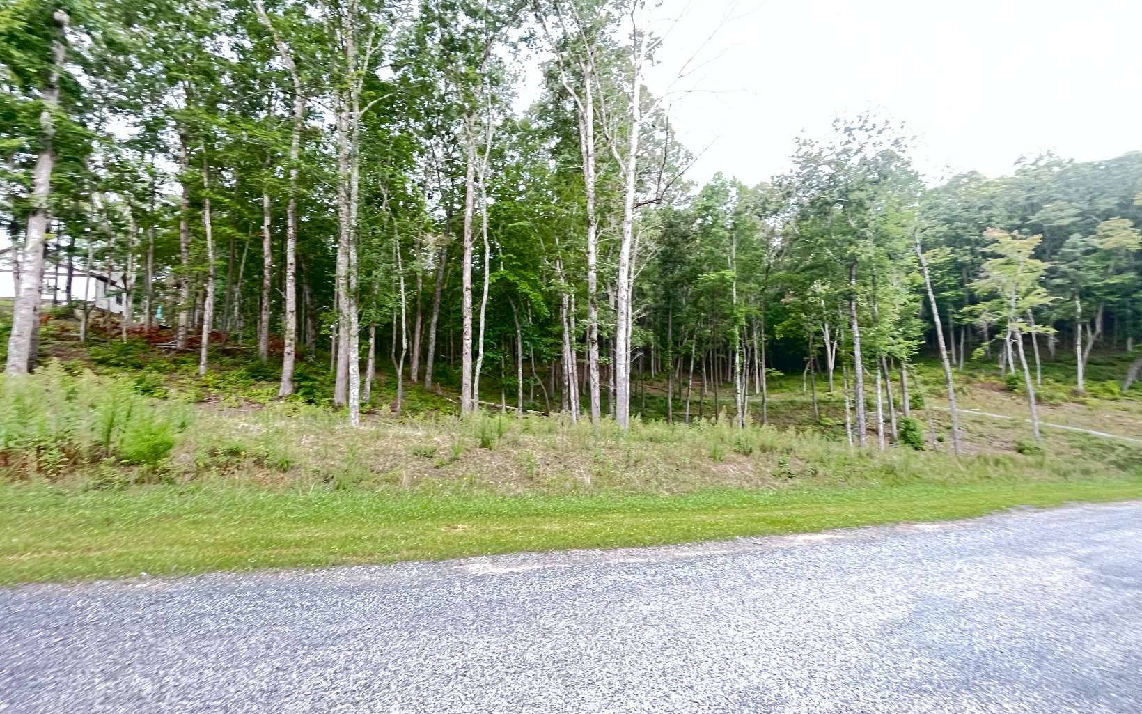 Ellijay, GA 30540,LT 11 Lake Top Lane