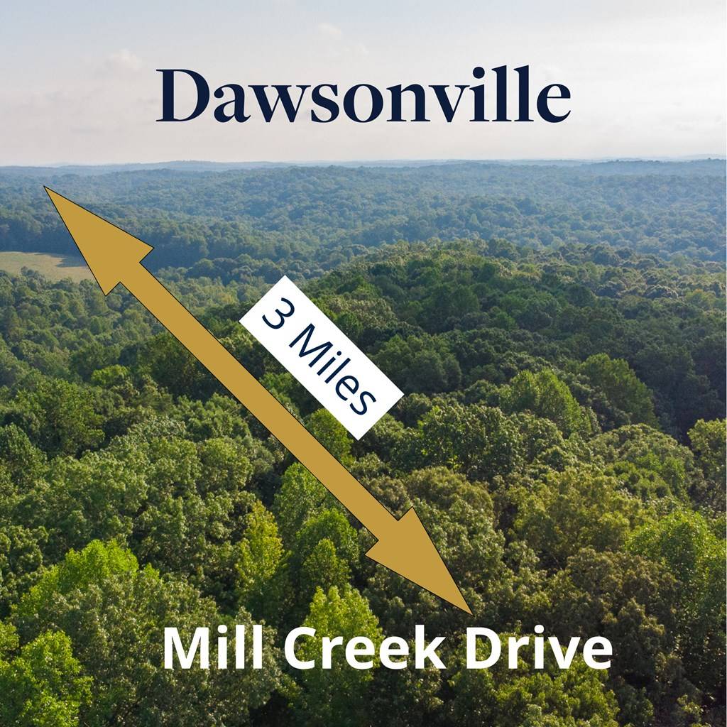 Dawsonville, GA 30534,0 Mill Creek