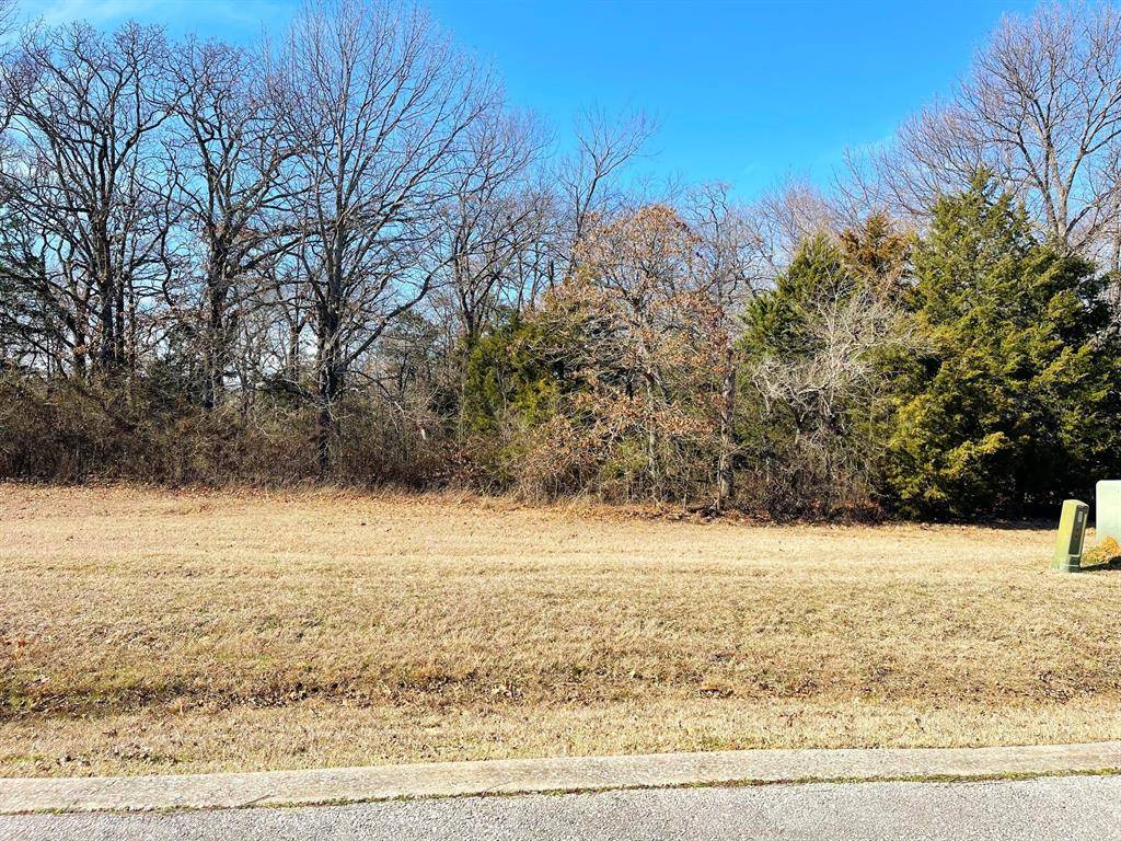 Gordonville, TX 76245,Lot 36A Dublin Circle