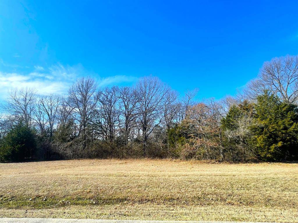 Gordonville, TX 76245,Lot 36A Dublin Circle