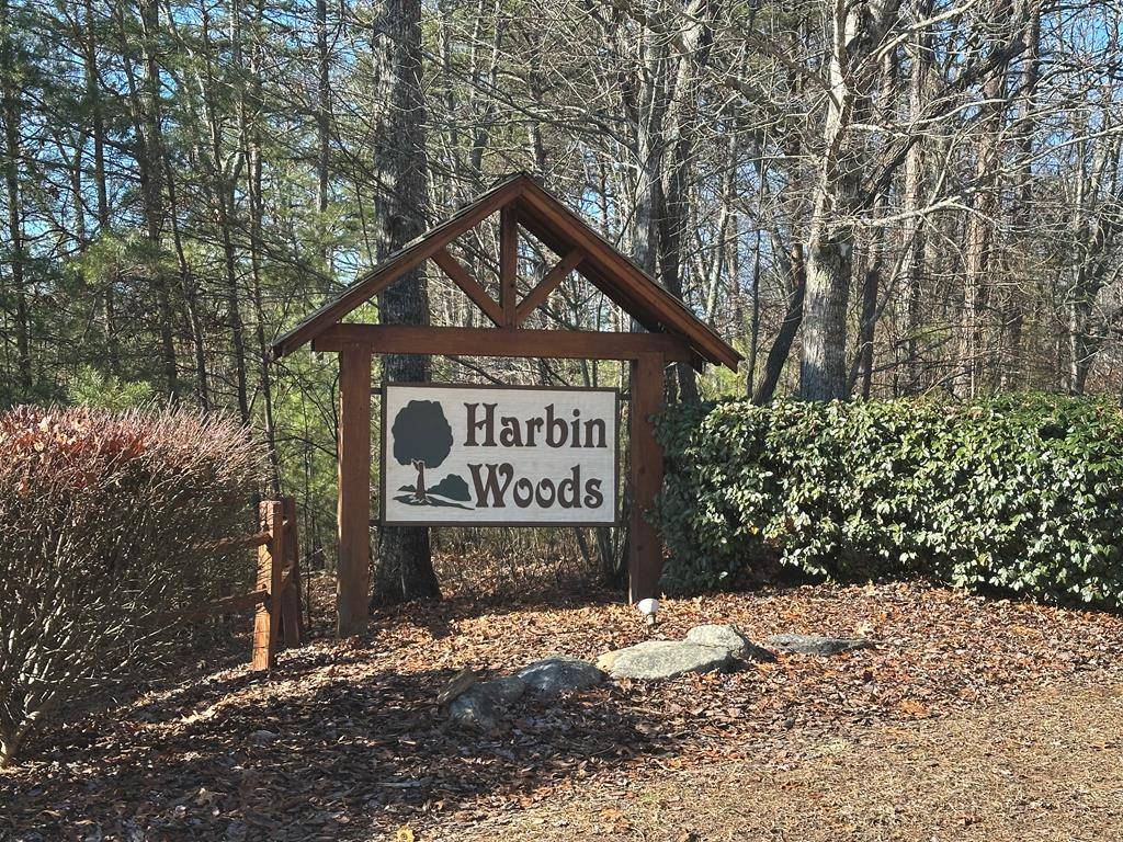 Morganton, GA 30560,Lot 40 Harbin Woods