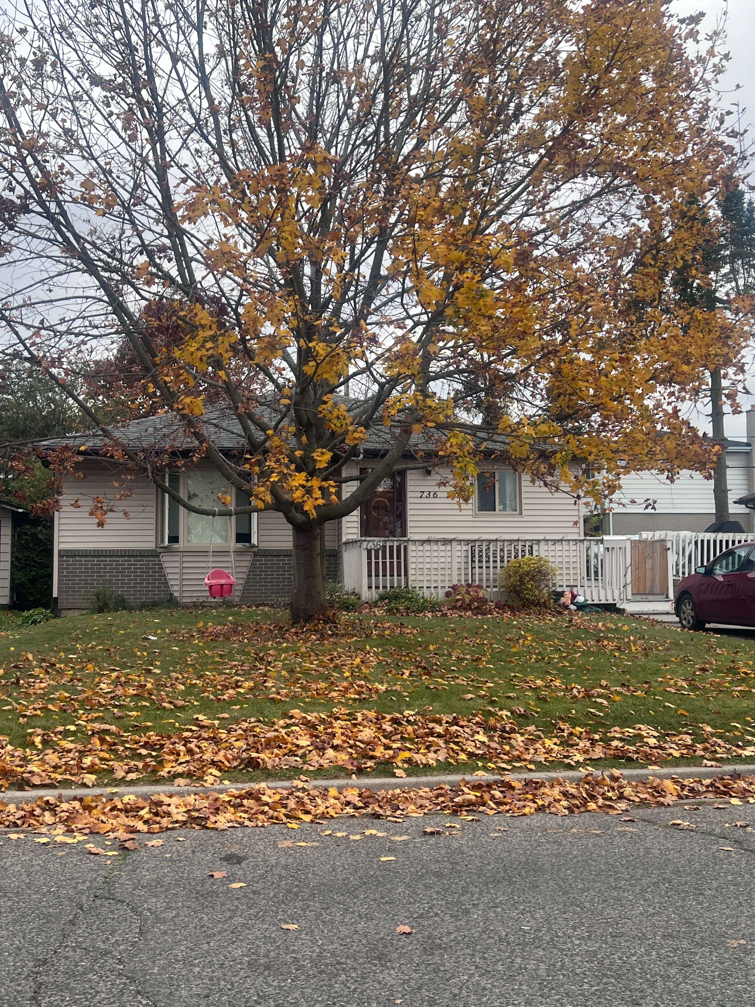 Pickering, ON L1W 1B6,736 Annland ST