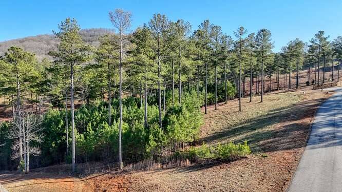 Blairsville, GA 30512,Lot 324 Thirteen Hundred