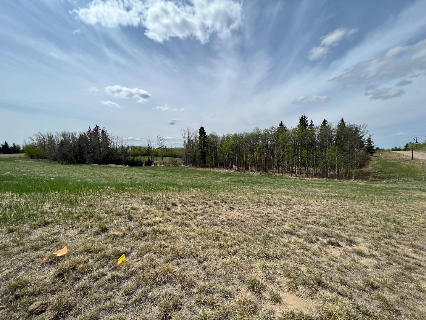 Rural Ponoka County, AB T4J 1R3,143 Wolf Run DR