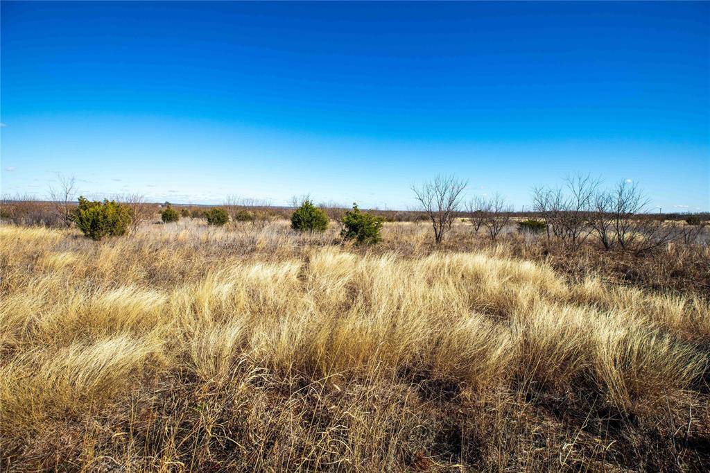 Tuscola, TX 79562,TBD CR 250