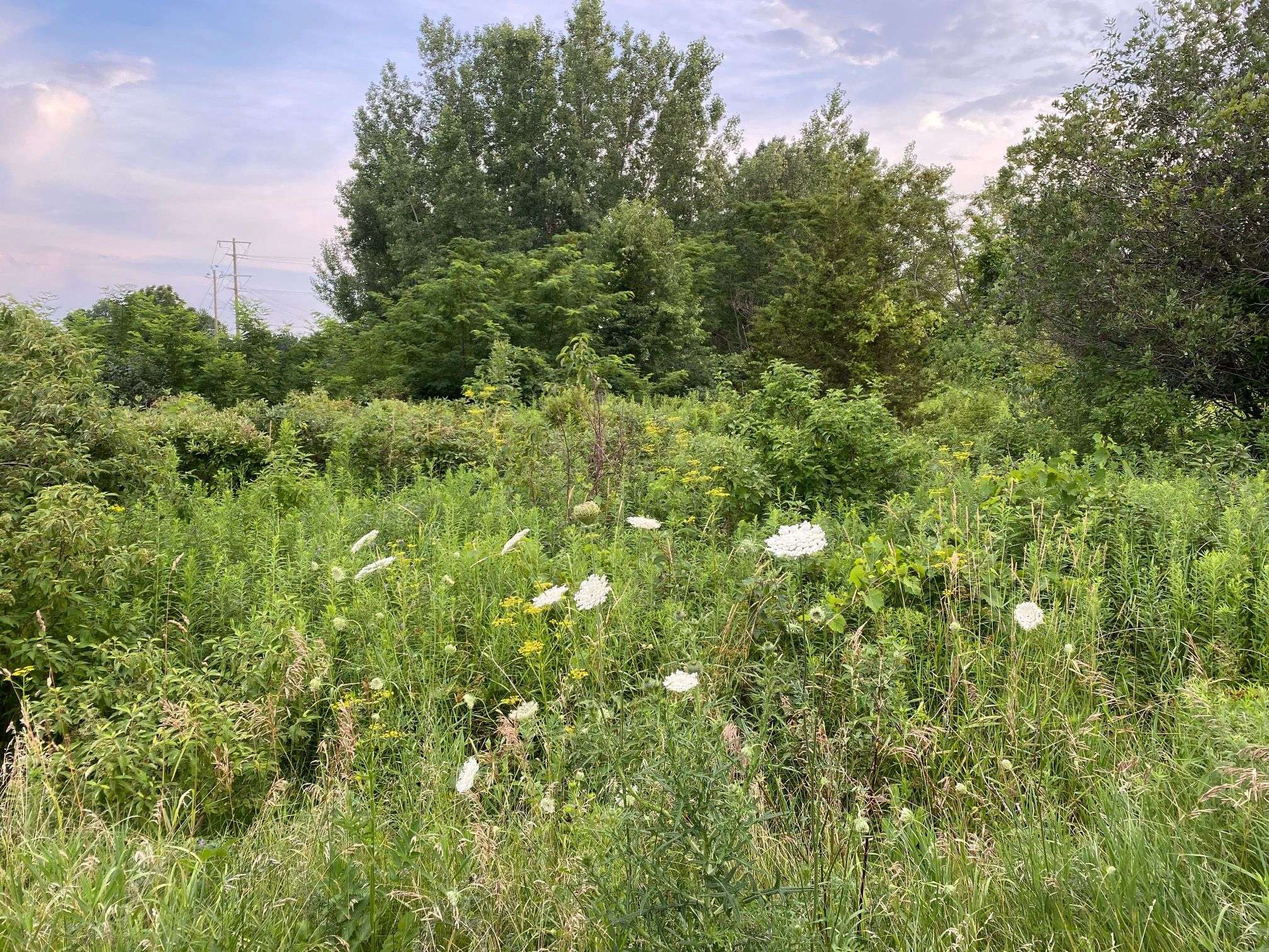 Prince Edward County, ON K0K 2T0,Lot 29 McDonald DR