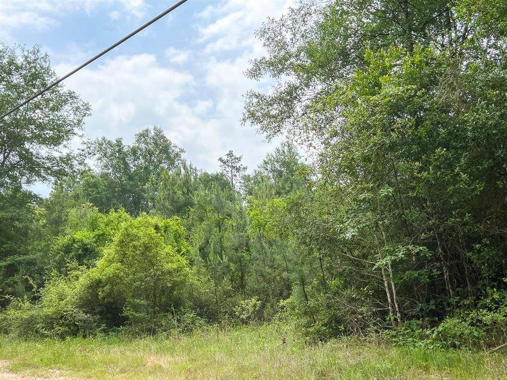 Silsbee, TX 77656,005 Old Arco Rd