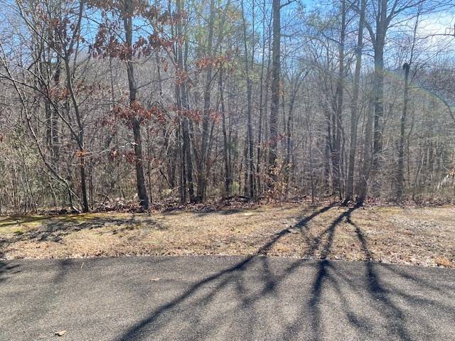 Ellijay, GA 30540,Lot 119 Tranquility @ Carters Lake