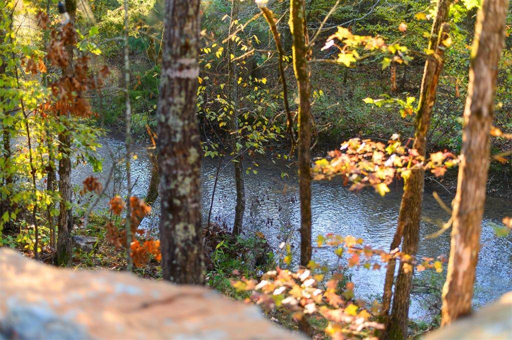 Broken Bow, OK 74728,453 Bear Pine Trail