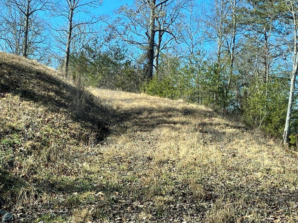 Murphy, NC 28906,3 Lots Haskett Drive