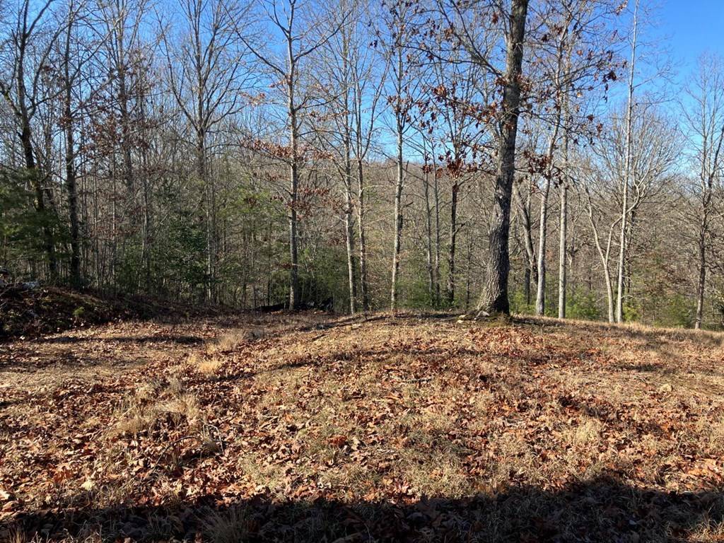 Murphy, NC 28906,3 Lots Haskett Drive