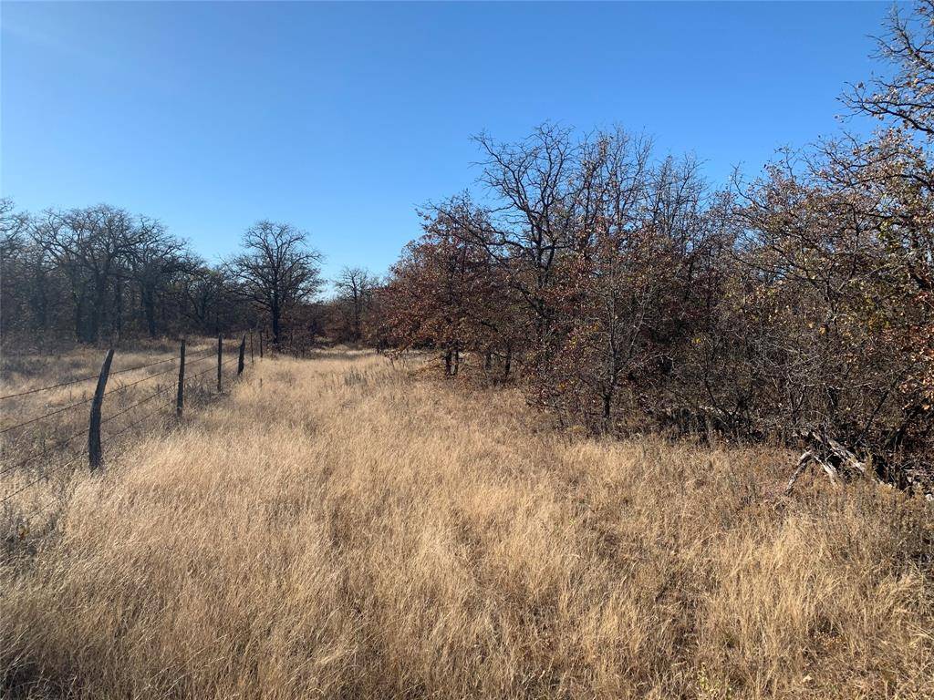 Perrin, TX 76486,00 2 Bush Road