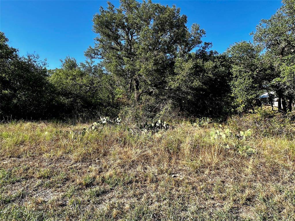 May, TX 76857,TBD LTS 51,52,53 Oak Point Dr.