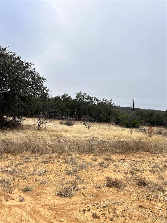 Brownwood, TX 76801,TBD lot 945 Feather Bay Drive