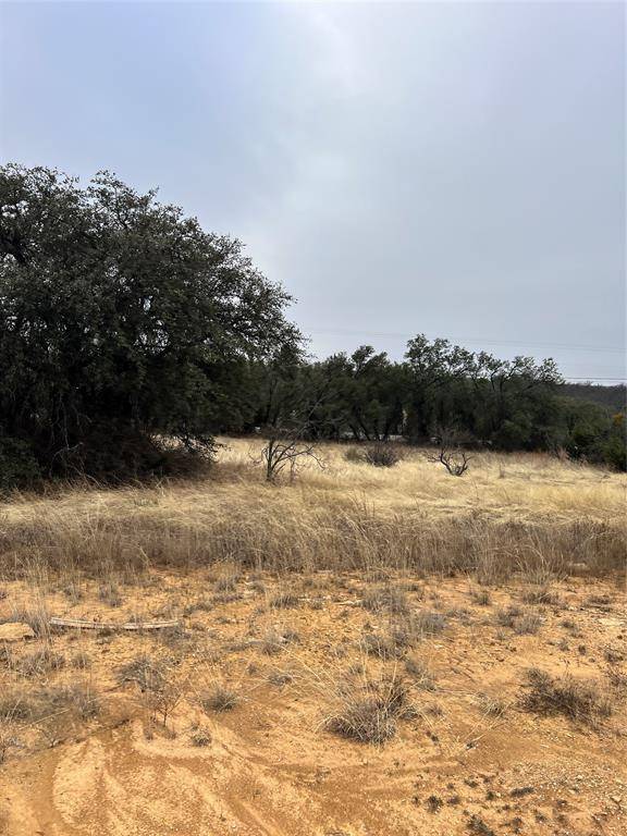 Brownwood, TX 76801,TBD lot 945 Feather Bay Drive