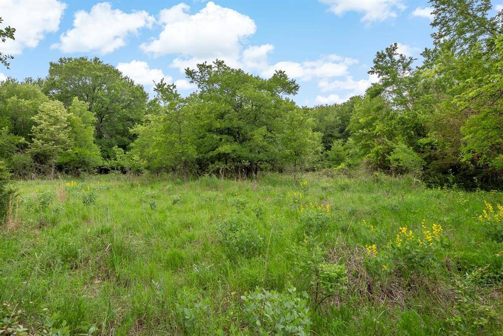 Royse City, TX 75189,TBD Lot 24 & Lot 25 CR-2469