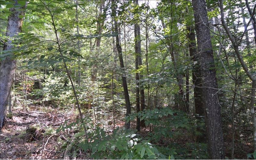 Hiawassee, GA 30546,LOT 6 Baker Lane