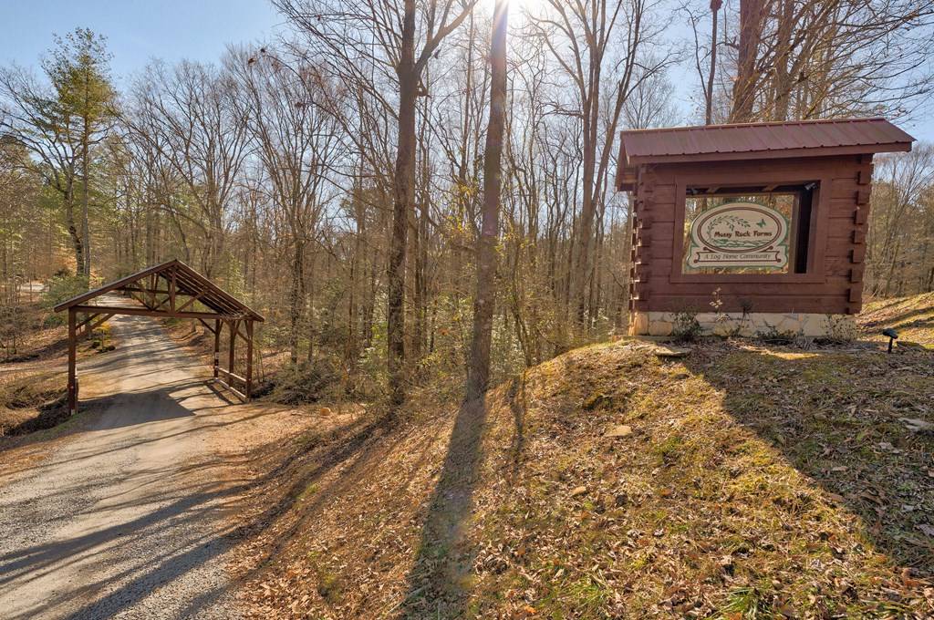 Ellijay, GA 30540,196 Mossy Rock Lane