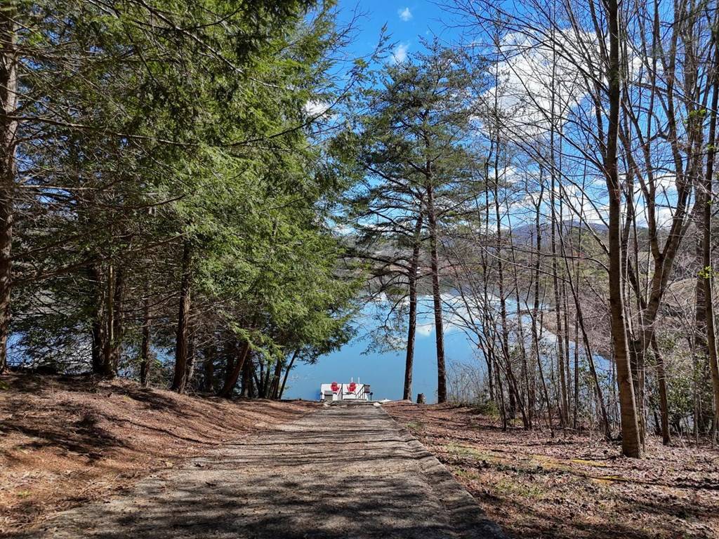 Hiawassee, GA 30546,Lot 3 Sunnyside Shores Drive