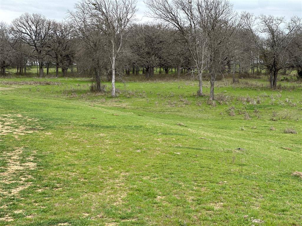 Covington, TX 76636,Lot1 Blk1 TBD SH 171