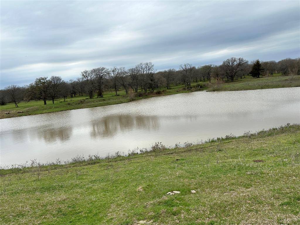 Covington, TX 76636,Lot7 Blk1 TBD SH 171